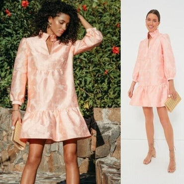 Tuckernuck NEW Bellini Fil Coupe Pink Drop Waist Long Sleeve Palmerston Dress S