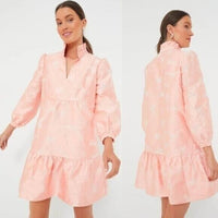 Tuckernuck NEW Bellini Fil Coupe Pink Drop Waist Long Sleeve Palmerston Dress L
