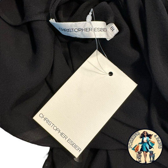 Christopher Esber Silk Formal Sheer Draped Cowl Tank Maxi Dress in Black Size 6