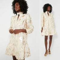 Tuckernuck NEW Champagne Fil Coupe Palmerston Formal Mini Dress Size S
