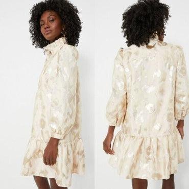 Tuckernuck NEW Champagne Fil Coupe Palmerston Formal Mini Dress Size S