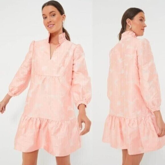 Tuckernuck NEW Bellini Fil Coupe Pink Drop Waist Formal Palmerston Dress XXL