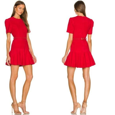 Karina Grimaldi Angelina Suede Leather Mini Dress in Ruby Size M