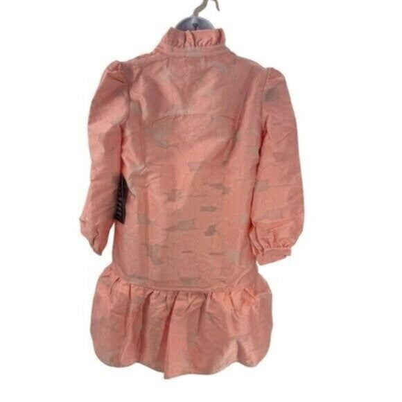 Tuckernuck NEW Bellini Fil Coupe Pink Drop Waist Formal Palmerston Dress XXL