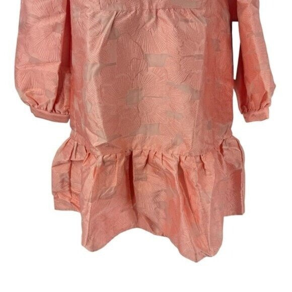 Tuckernuck NEW Bellini Fil Coupe Pink Drop Waist Long Sleeve Palmerston Dress S