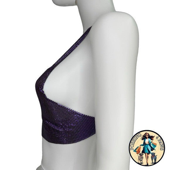 FANNIE SCHIAVONI Hailey Mesh Metallic Festival Draped Crop Top in Purple Size S