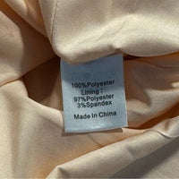 Tuckernuck NEW Champagne Fil Coupe Palmerston Formal Mini Dress Size L