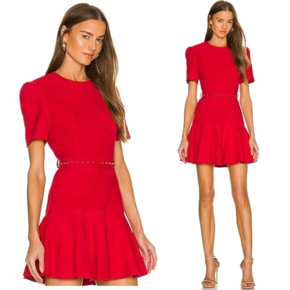 Karina Grimaldi Angelina Suede Leather Mini Dress in Ruby Size M