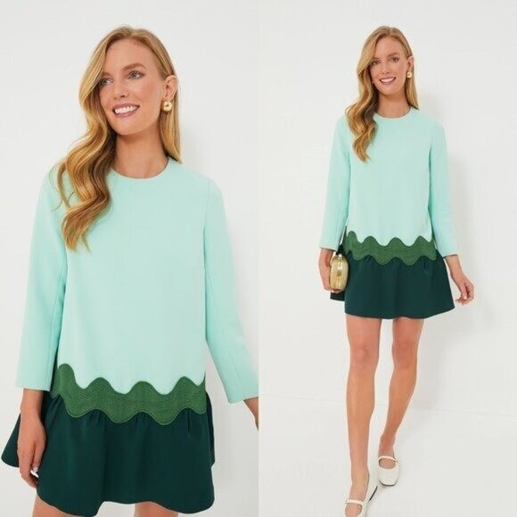 Tuckernuck NEW Sea Grove Pierce Long Sleeve Drop Waist A Line Mini Dress Size L